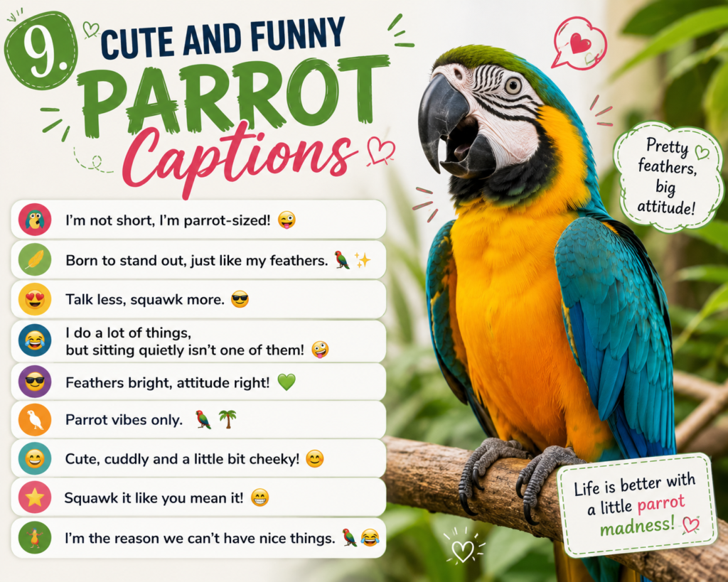 9. Cute and Funny Parrot Captions