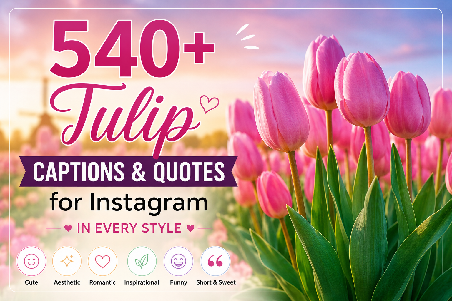 540+ Tulip Captions & Quotes for Instagram in Every Style